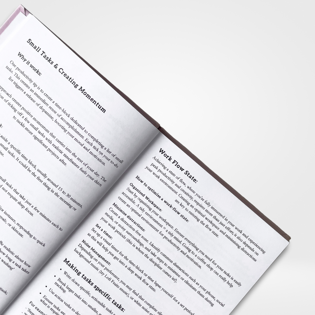 The Productivity Book: Our Most Popular Plannerš„