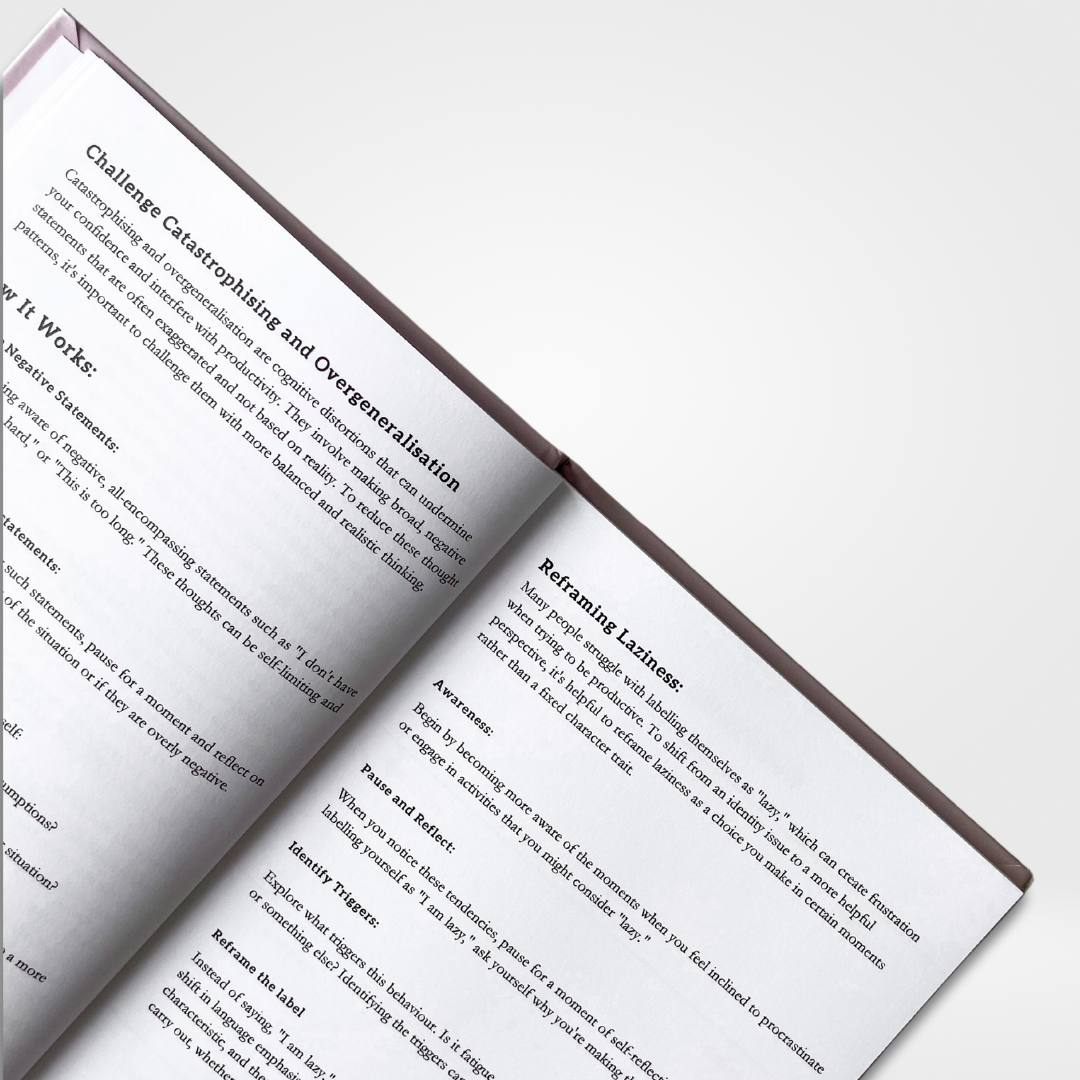The Productivity Book: Our Most Popular Plannerš„