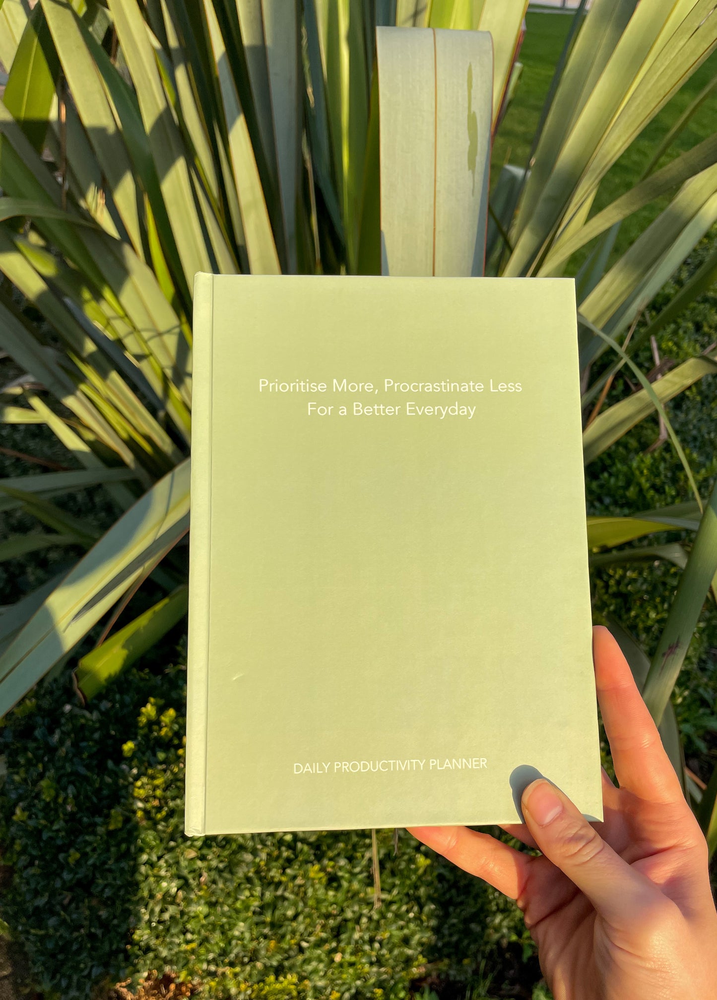 Daily Productivity Planner: Sage Green