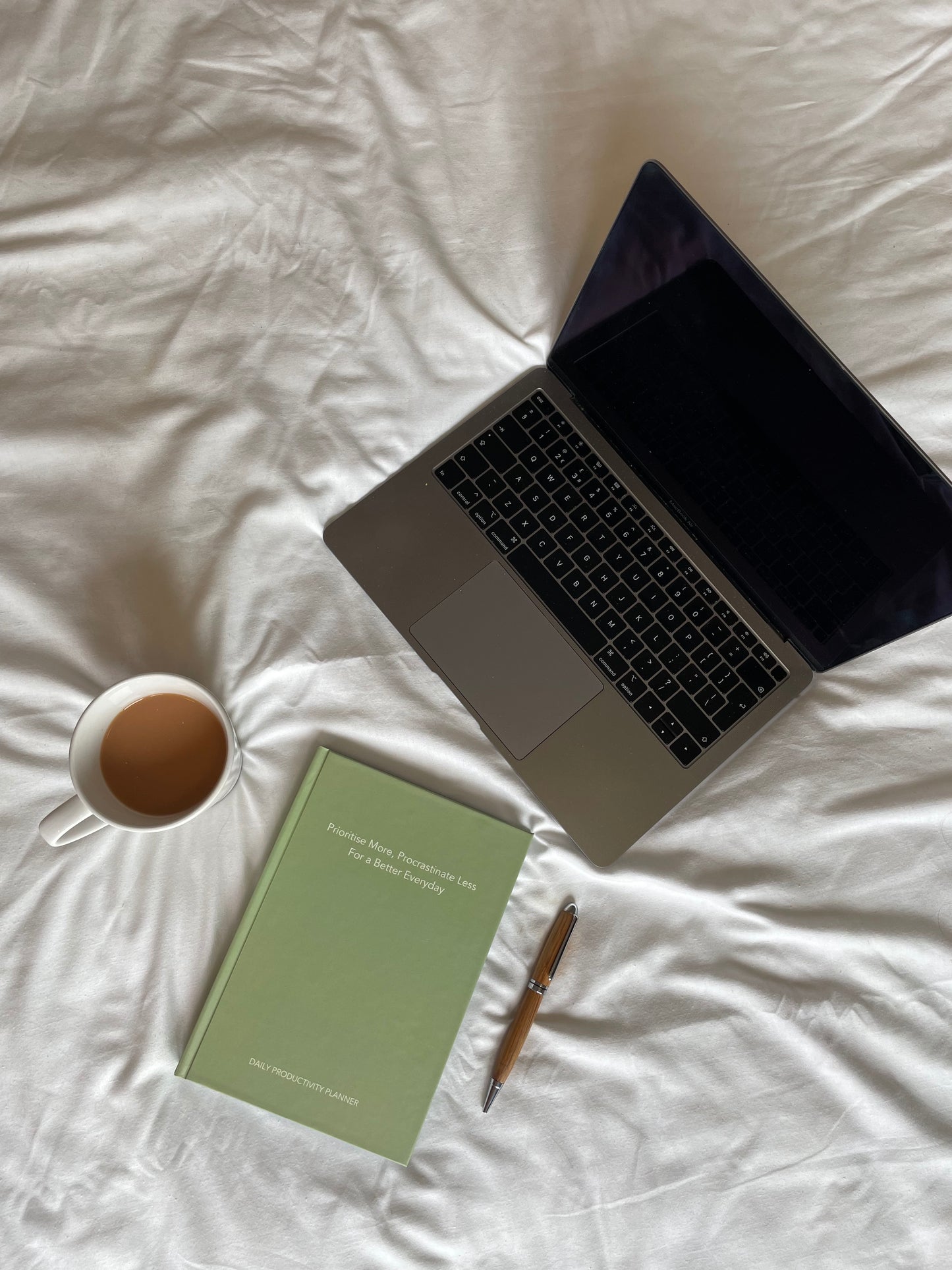 Daily Productivity Planner: Sage Green